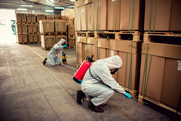 Best Ant Control Services  in Spencer, IN