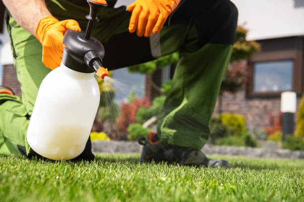 Best Flea Control Services  in Spencer, IN
