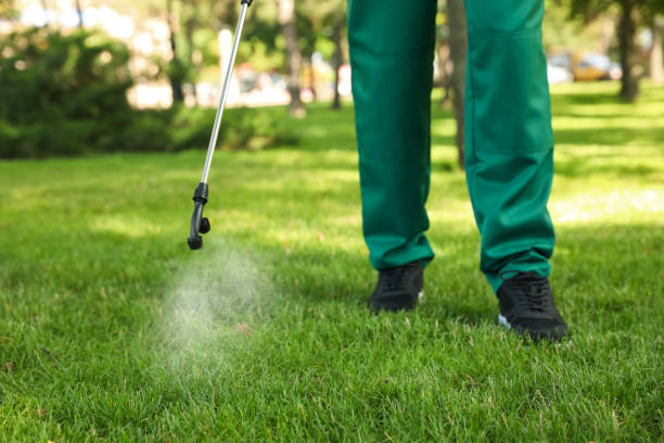 Best Mosquito Control Services  in Spencer, IN