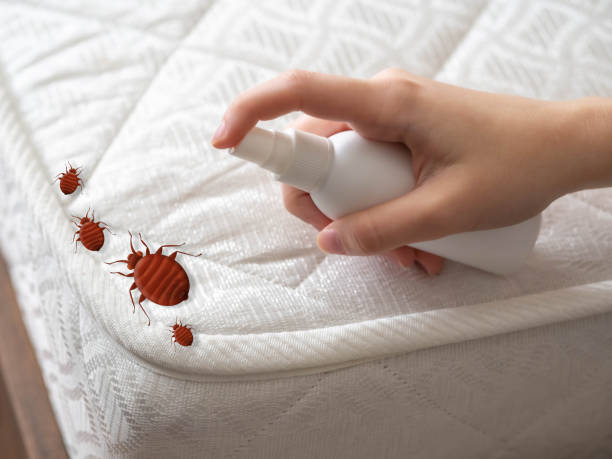 Best Bed Bug Extermination  in Spencer, IN