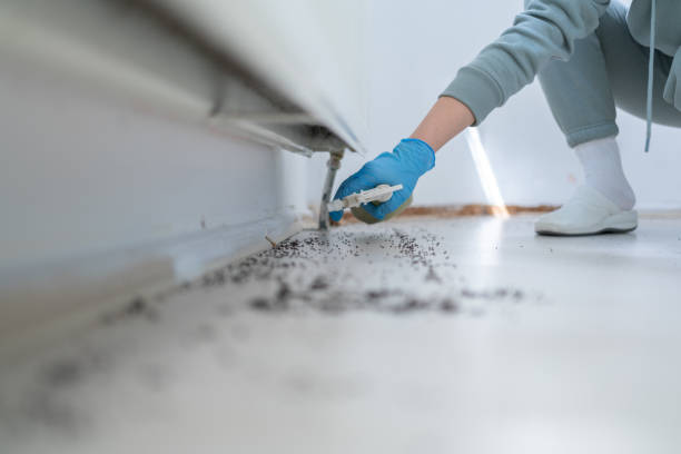 Best Flea Control Services  in Spencer, IN
